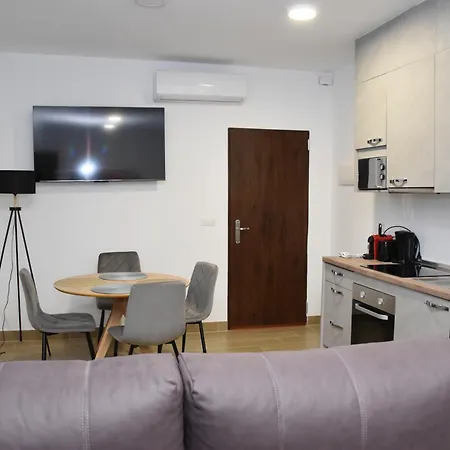 Apartament Loft 2 *